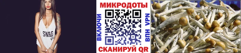 Галлюциногенные грибы прущие грибы  Апатиты 